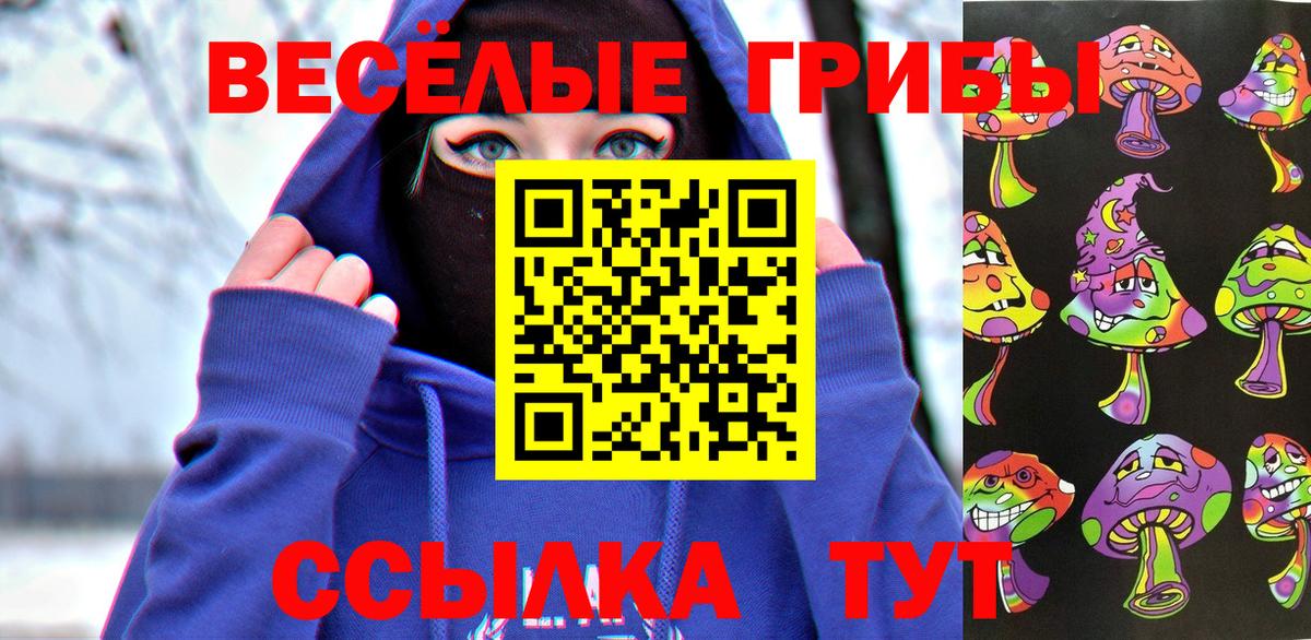 Галлюциногенные грибы Psilocybine cubensis Ессентуки