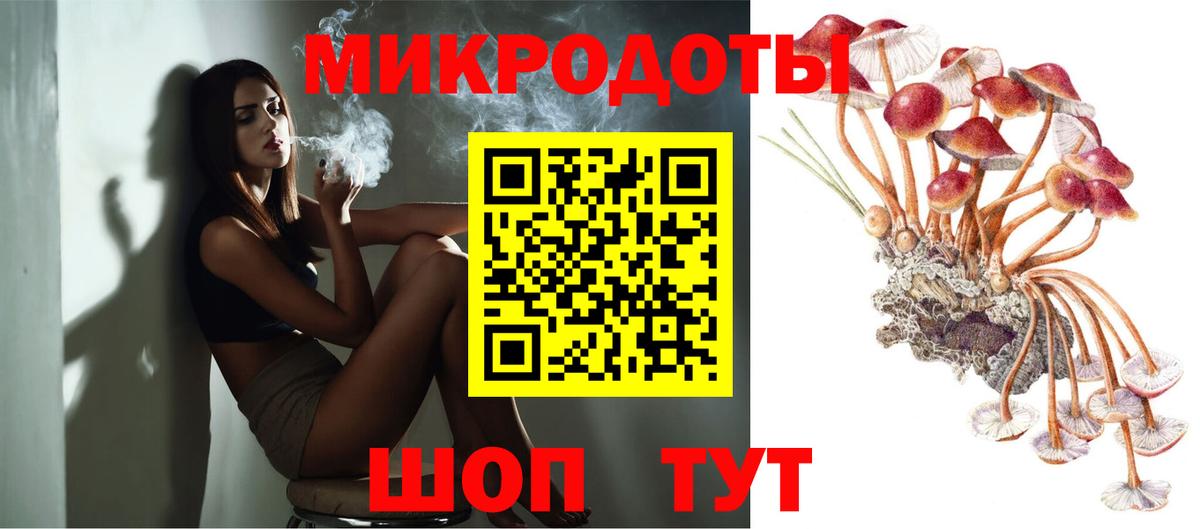 Псилоцибиновые грибы Cubensis  Вход с VPN  Ессентуки 